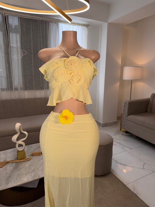 Rossete skirt set 2 pieces